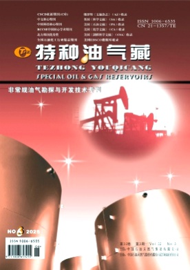 特种油气藏杂志